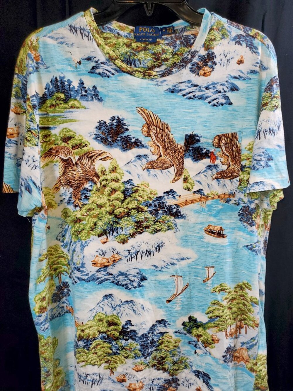 Polo Ralph Lauren Men’s M Scenic Eagle Print Classic Fit T‑Shirt Asian Landscape